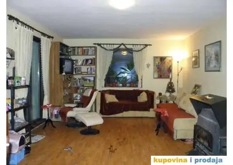 Pansion ROYAL za kucne ljubimce - Beograd - 3/5