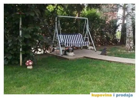 Pansion ROYAL za kucne ljubimce - Beograd - 4/5