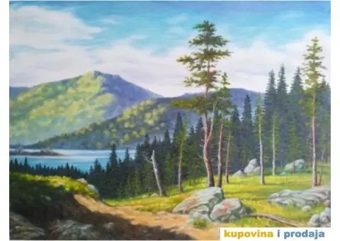 Umjetnička slika - Motiv sa Drine