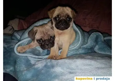 MOPS stenci na prodaju - 1/5