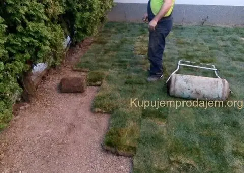 Sejanje trave - Postavljanje tepih trave - 3/3