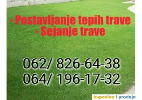 Sejanje trave - Postavljanje tepih trave - 2/3