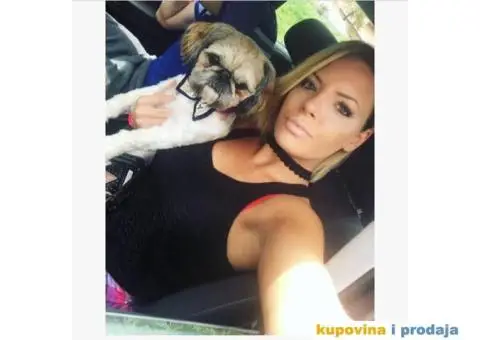 SI-CU stenci na prodaju - 4/6