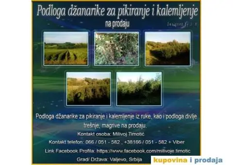 Podloga džanarike za pikiranje - 1/6