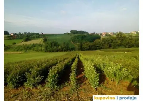 Podloga džanarike za pikiranje - 2/6