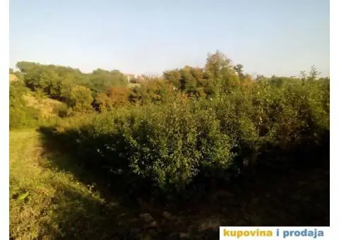 Podloga džanarike za pikiranje - 4/6