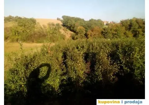 Podloga džanarike za pikiranje - 5/6