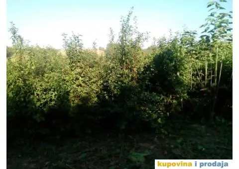 Podloga džanarike za pikiranje - 6/6