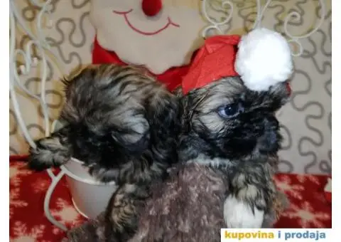 Carobni stenci SHIH-TZUA - 1/6