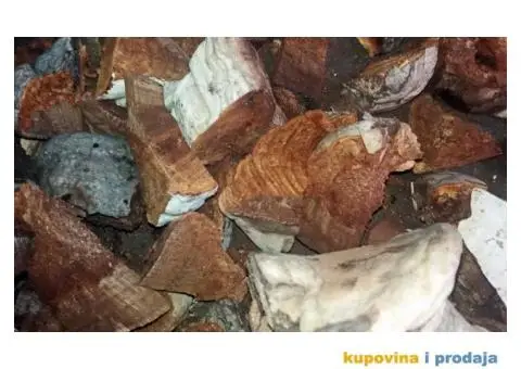 Trud gljiva za dimljenje pčela - 2/10