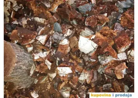 Trud gljiva za dimljenje pčela - 4/10