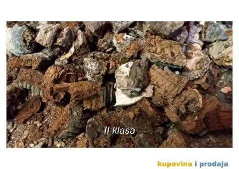 Trud gljiva za dimljenje pčela - 8/10