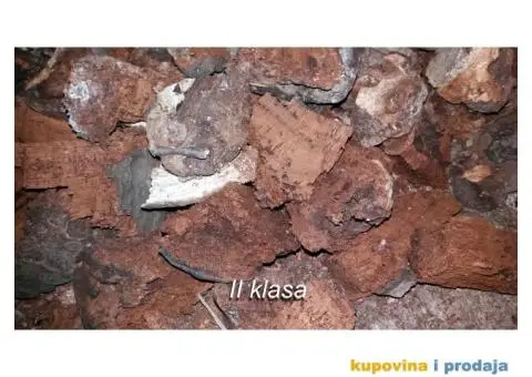 Trud gljiva za dimljenje pčela - 9/10