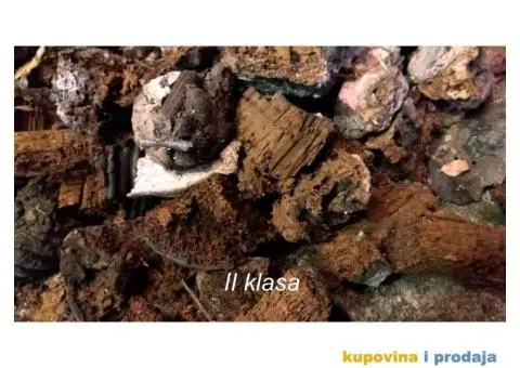 Trud gljiva za dimljenje pčela - 10/10