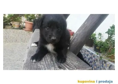 Poklanjam stence - 3/4