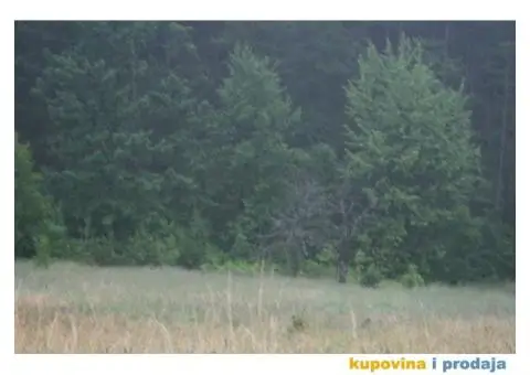 Prodaja gradjevinskih placeva u centru Cajetine - 5/5