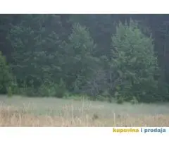 Prodaja gradjevinskih placeva u centru Cajetine