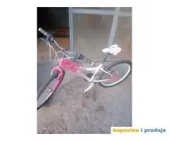 Prodaja bickla