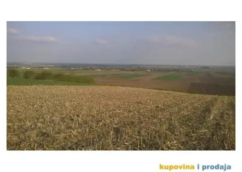 Zemlja u Krčedinu - 8/8