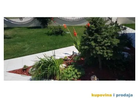 Dekorativni malč - 4/10