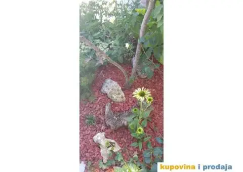 Dekorativni malč - 5/10