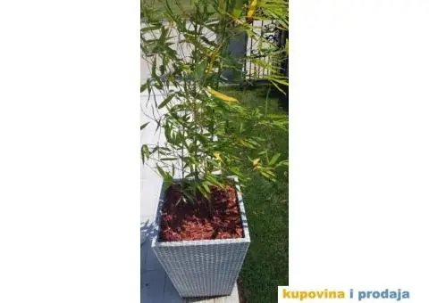 Dekorativni malč - 7/10