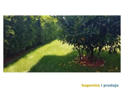 Dekorativni malč - 9/10