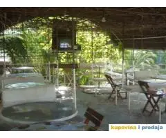 NAJJEFTINIJE LETOVANJE - SUTOMORE kod Dimitrijevic Radomira