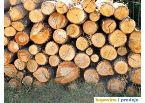 prodajem drva po zelji