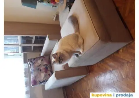 Prodajem fotelju i tabure - 3/4