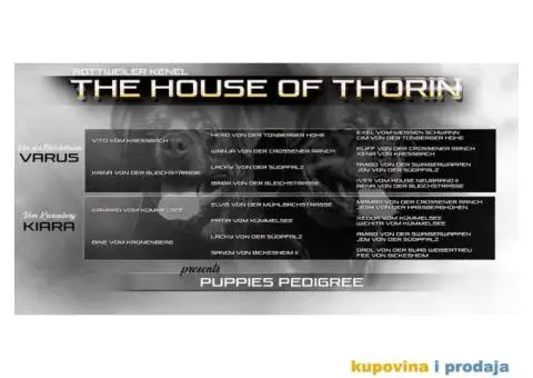 Vrhunsko leglo ADRK ROTVAJLERA - 2/8