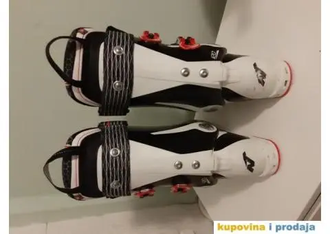 Pancerice NORDICA - 2/2