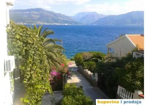 izdavanje apartmana  krasici tivat - 2/7