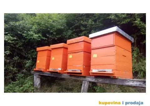 Prodajem pcelinja drustva u kosnicama DB 10 i DB 12