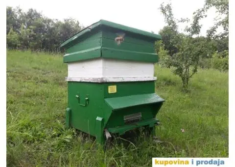 Prodajem pcelinja drustva u kosnicama DB 10 i DB 12 - 2/2