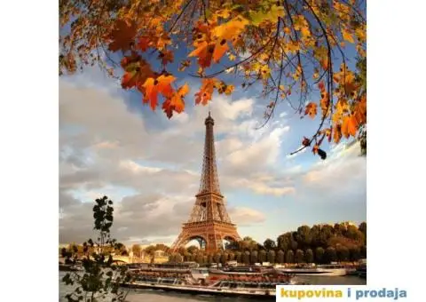 ONLINE časovi francuskog jezika