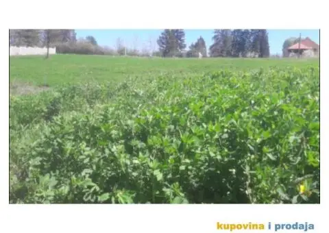 Plac u Babama , Kosmaj , građevinsko zemljište - 5/7