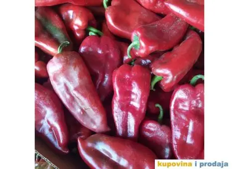 CRVENA PAPRIKA NA PRODAJU - 1/5