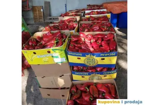 CRVENA PAPRIKA NA PRODAJU - 2/5