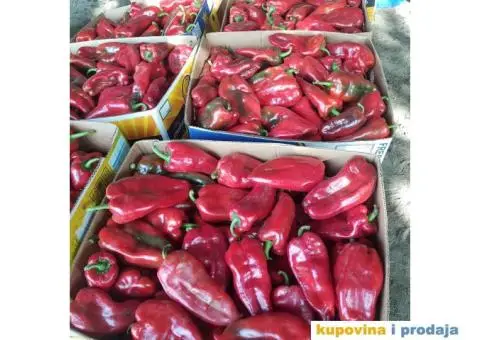 CRVENA PAPRIKA NA PRODAJU - 5/5