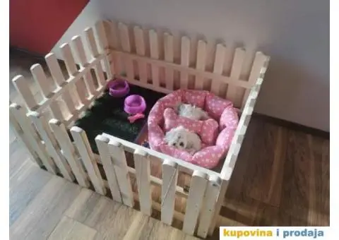 Kućna ograda za pse i štence - 1/6