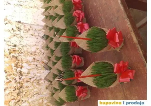 Božićno žito - 1/4