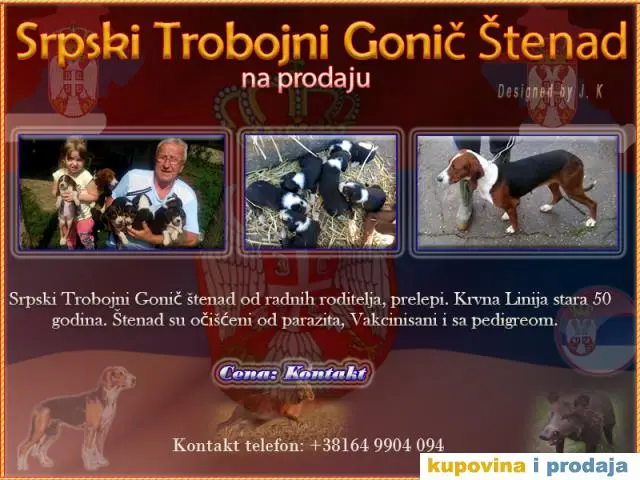 Srpski Trobojni Gonič - 1