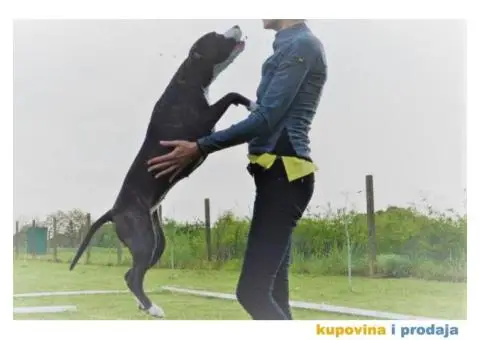 Supreme Girl King of Ring's - 4/5