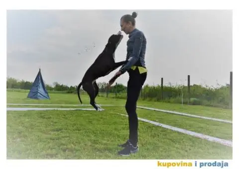 Supreme Girl King of Ring's - 5/5