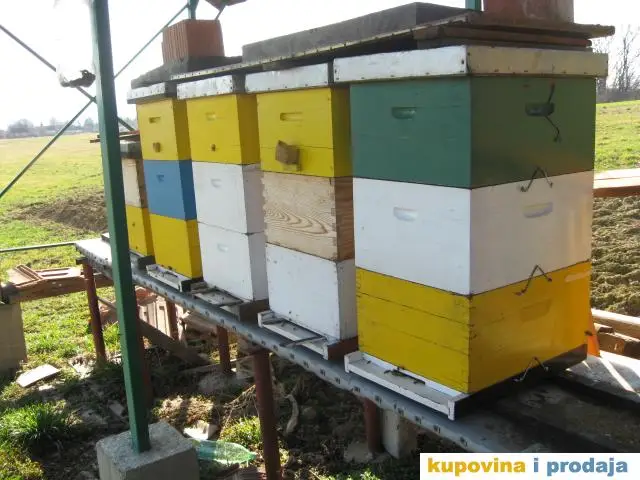 Radnici u pčelarstvu - 1