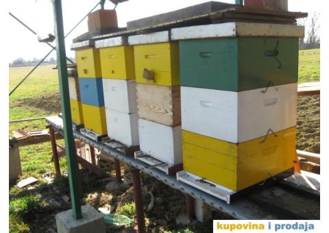 Radnici u pčelarstvu