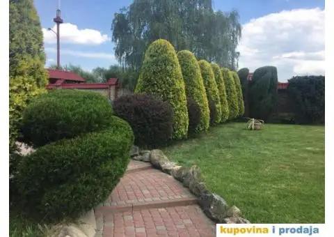 Usluge Baštovana (Uređenje i održavanje zelenih površina) - 1/7