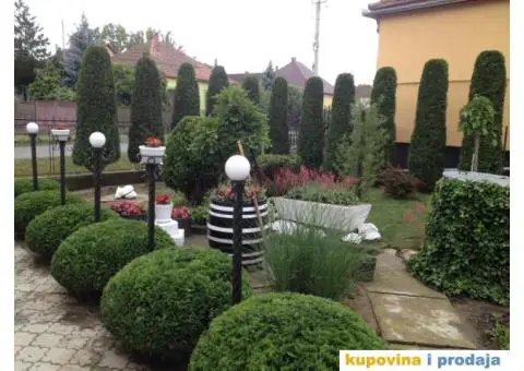 Usluge Baštovana (Uređenje i održavanje zelenih površina) - 2/7