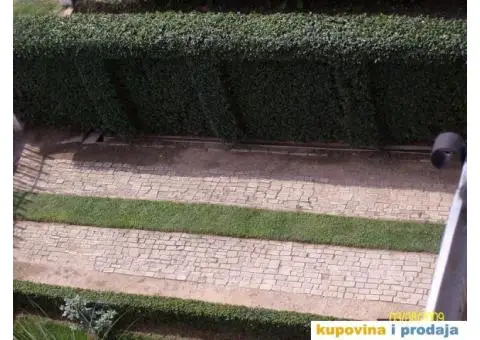 Usluge Baštovana (Uređenje i održavanje zelenih površina) - 5/7